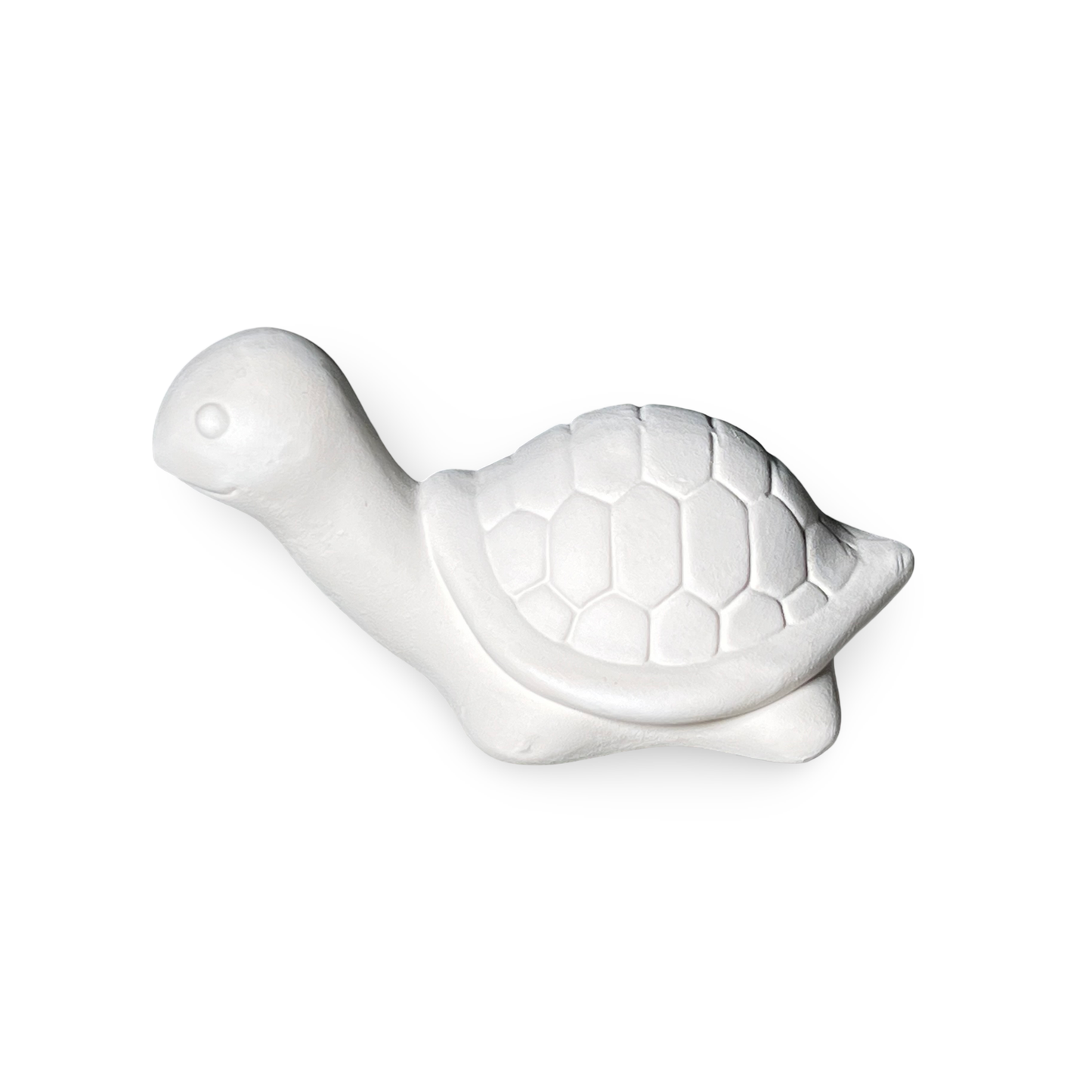 Pack 5/10pz Tartaruga in Terracotta Grezza da Decorare