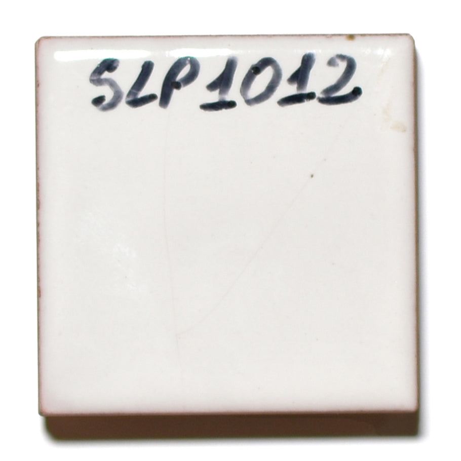SLP 1012 Bianco Smalto Lucido Piombico