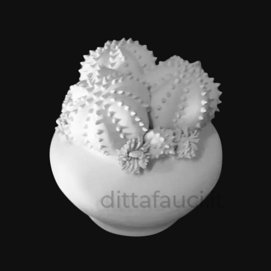 Tripla Suocera h 13 cm, d. 14 | Piantina in ceramica - Ingrosso per la Ceramica | Ditta Fauci