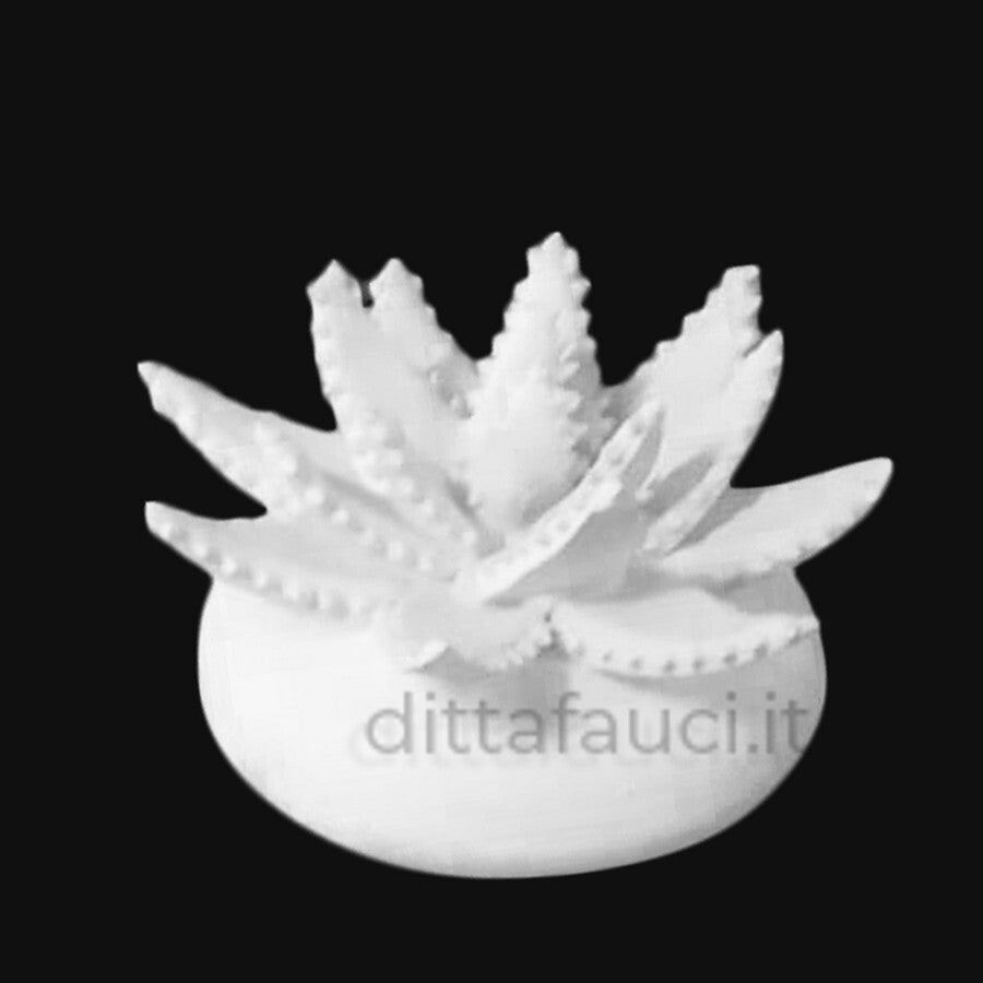 Aloe 3' Mis h 9 cm, diam. 13 cm | Piantine in ceramica - Ingrosso per la Ceramica | Ditta Fauci
