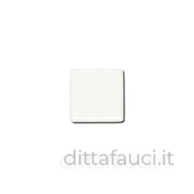 Piastra ceramica con finitura trasparente lucida, ideale per ceramiche e porcellane, perfetta per le temperature di cottura tra 920°C e 940°C, disponibile in diverse dimensioni, Smalti, Colori e Cristalline, Cristallina Neutra, AVADA - Best Sellers, Collezione Ditta Fauci, AVADA Email Marketing - Best Sellers, AVADA Email Marketing - Newest Products