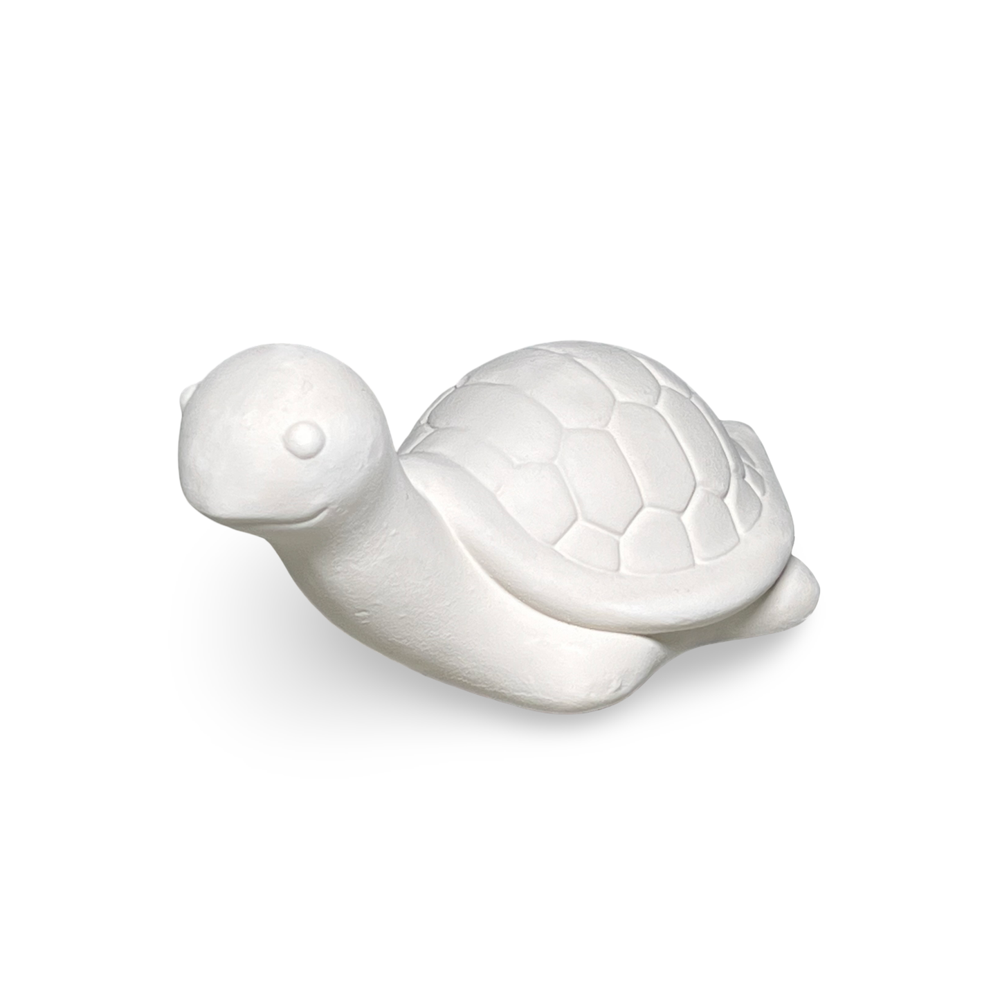 Pack 5/10pz Tartaruga in Terracotta Grezza da Decorare