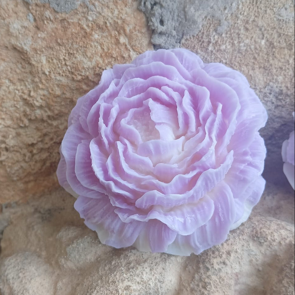 Candela Peonia in Cera