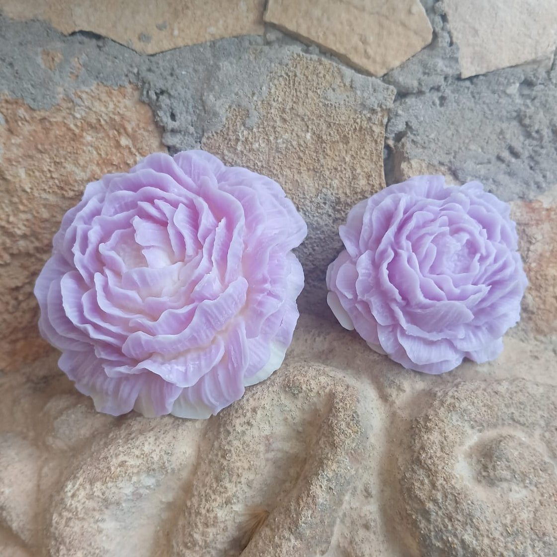 Candela Peonia in Cera