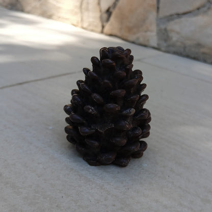 Candela Pigna Natalizia in Cera - Misure cm 4,5x5