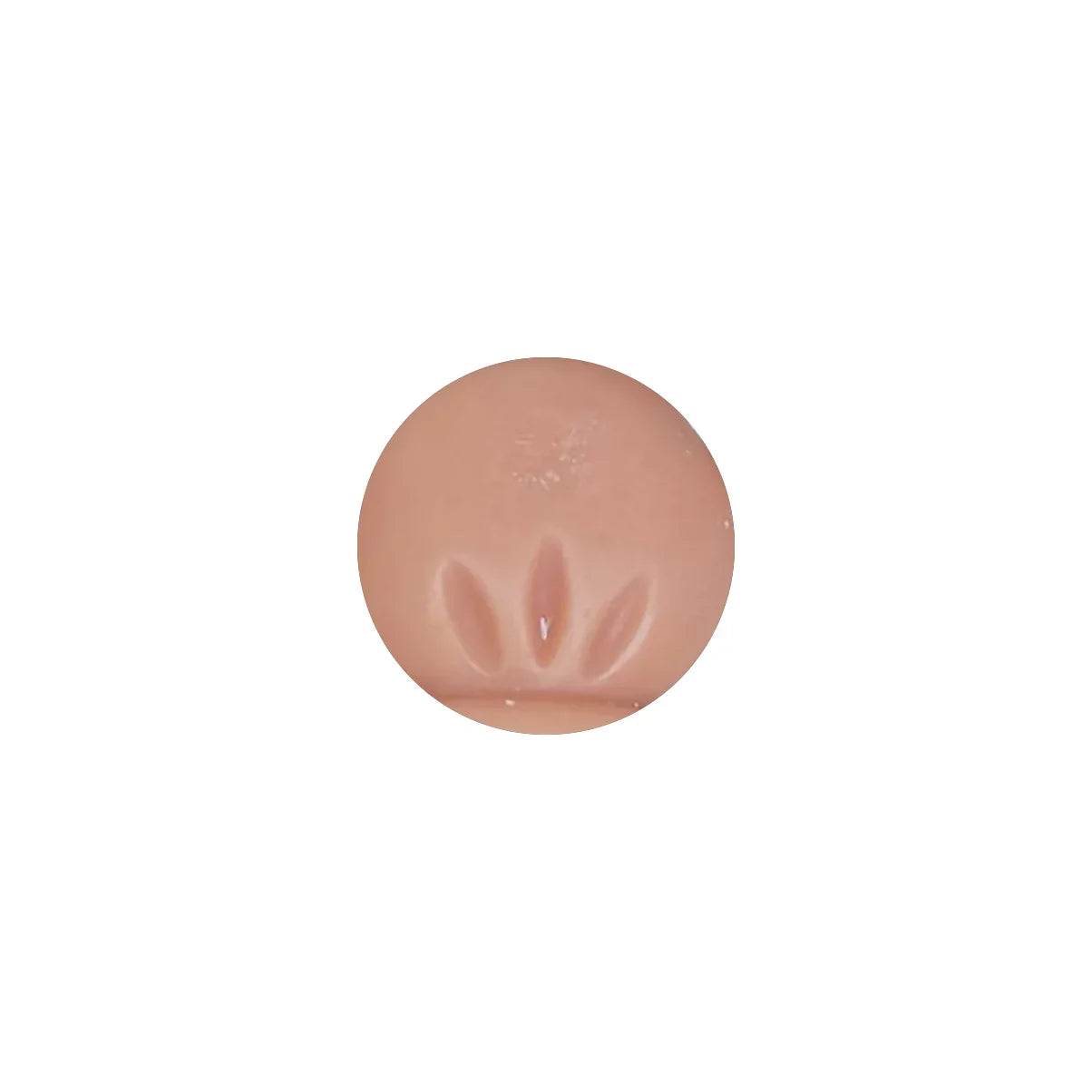 Ceramica terracotta con decoro a foglie, ideale per lavorazioni artistiche e modellatura