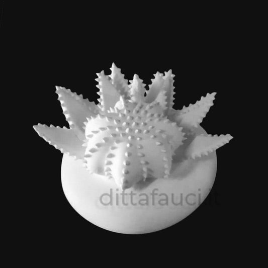 semilavorati in ceramica e biscotto in terracotta bianca e rossa. Oggettistica da Smaltare e decorare