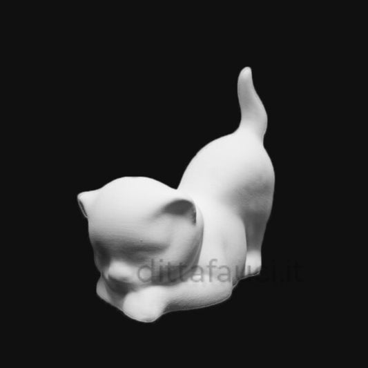 gatto in terraglia bianca